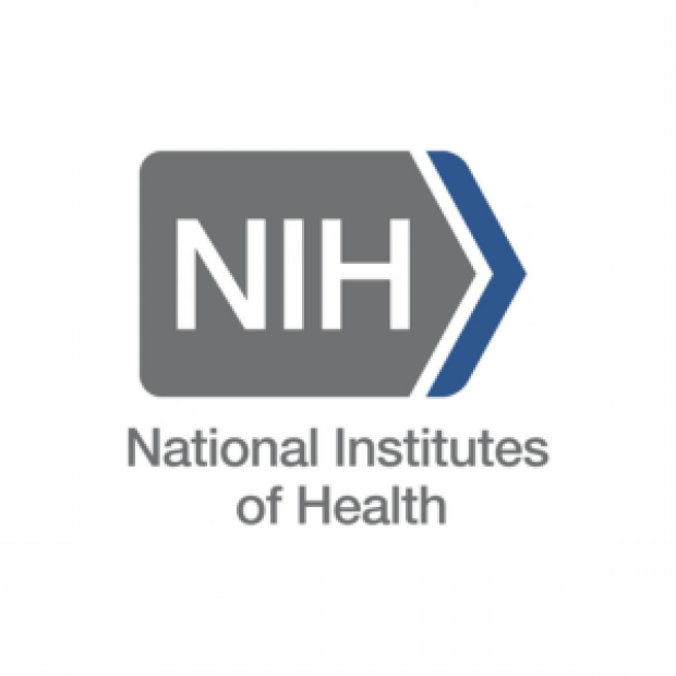 Photo representing National Institutes of Health Undergraduate Scholarship Program